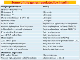 Some of the genes regulated by insulin
 