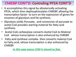 • It accomplishes this signal by allosterically activating
PP2A, which then dephosphorylates ChREBP, allowing the
transcription factor to turn on the expression of genes for
enzymes of glycolysis and fat synthesis.
• Glycolysis yields Pyruvate, and conversion of pyruvate to
acetyl CoA provides starting material for fatty acid
synthesis.
• Acetyl CoA carboxylase converts Acetyl CoA to Malonyl
CoA whose transcription is also enhanced by ChREBP.
• Fatty acid synthase complex then converts malonyl CoA
to Fatty acid, whose transcription is also enhanced by
ChREBP.
In this way excess CHO is stored as fats.
ChREBP CONT’D: Controling PP2A CONT’D
 