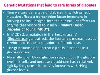 Genetic Mutations that lead to rare forms of diabetes
• Here we consider a type of diabetes in which genetic
mutation affects a transcription factor important in
carrying the insulin signal into the nucleus , or affects an
enzyme that responds to insulin – Mature Onset
Diabetes of Young (MODY).
• In MODY 2, a mutation in the hexokinase IV
(Glucokinase) gene affects the liver and pancreas, tissues
in which this is the main isoform of hexokinase.
• The glucokinase of pancreatic β cells functions as a
glucose sensor.
• Normally when blood glucose rises, so does the glucose
level in β cells, and because glucokinase has a relatively
high KM for glucose, its activity increases with rising
glucose levels.
 