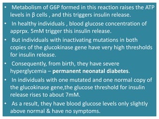 • Metabolism of G6P formed in this reaction raises the ATP
levels in β cells , and this triggers insulin release.
• In healthy individuals , blood glucose concentration of
apprpx. 5mM trigger this insulin release.
• But individuals with inactivating mutations in both
copies of the glucokinase gene have very high thresholds
for insulin release.
• Consequently, from birth, they have severe
hyperglycemia – permanent neonatal diabetes.
• In individuals with one mutated and one normal copy of
the glucokinase gene,the glucose threshold for insulin
release rises to about 7mM.
• As a result, they have blood glucose levels only slightly
above normal & have no symptoms.
 
