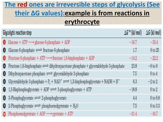 The red ones are irreversible steps of glycolysis (See
their ∆G values):example is from reactions in
erythrocyte
 