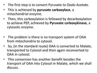 • The first step is to convert Pyruvate to Oxalo Acetate.
• This is achieved by pyruvate carboxylase, a
mitochondrial enzyme.
• Then, this carboxylation is followed by decarboxylation
to achieve PEP, achieved by Pyruvate carboxykinase, a
cytosolic enzyme.
• The problem is there is no transport system of OAA
from mitochondria to cytosol.
• So, (in the standard route) OAA is converted to Malate,
transported to Cytosol and then again reconverted to
OAA in cytosol.
• This conversion has another benefit besides the
transport of OAA into Cytosol in Malate, which we shall
discuss.
 