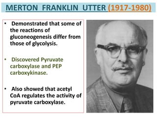MERTON FRANKLIN UTTER (1917-1980)
• Demonstrated that some of
the reactions of
gluconeogenesis differ from
those of glycolysis.
• Discovered Pyruvate
carboxylase and PEP
carboxykinase.
• Also showed that acetyl
CoA regulates the activity of
pyruvate carboxylase.
 
