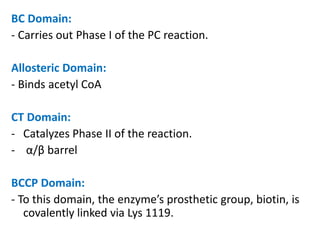 BC Domain:
- Carries out Phase I of the PC reaction.
Allosteric Domain:
- Binds acetyl CoA
CT Domain:
- Catalyzes Phase II of the reaction.
- α/β barrel
BCCP Domain:
- To this domain, the enzyme’s prosthetic group, biotin, is
covalently linked via Lys 1119.
 