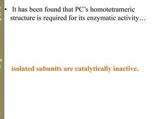 • It has been found that PC’s homotetrameric
structure is required for its enzymatic activity…
isolated subunits are catalytically inactive.
e
g
n
n
g
n
 