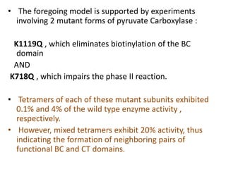 • The foregoing model is supported by experiments
involving 2 mutant forms of pyruvate Carboxylase :
K1119Q , which eliminates biotinylation of the BC
domain
AND
K718Q , which impairs the phase II reaction.
• Tetramers of each of these mutant subunits exhibited
0.1% and 4% of the wild type enzyme activity ,
respectively.
• However, mixed tetramers exhibit 20% activity, thus
indicating the formation of neighboring pairs of
functional BC and CT domains.
 