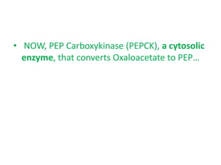 • NOW, PEP Carboxykinase (PEPCK), a cytosolic
enzyme, that converts Oxaloacetate to PEP…
 