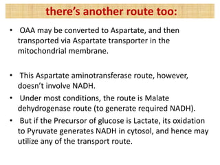 • OAA may be converted to Aspartate, and then
transported via Aspartate transporter in the
mitochondrial membrane.
• This Aspartate aminotransferase route, however,
doesn’t involve NADH.
• Under most conditions, the route is Malate
dehydrogenase route (to generate required NADH).
• But if the Precursor of glucose is Lactate, its oxidation
to Pyruvate generates NADH in cytosol, and hence may
utilize any of the transport route.
there’s another route too:
 