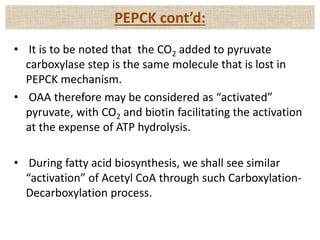 • It is to be noted that the CO2 added to pyruvate
carboxylase step is the same molecule that is lost in
PEPCK mechanism.
• OAA therefore may be considered as “activated”
pyruvate, with CO2 and biotin facilitating the activation
at the expense of ATP hydrolysis.
• During fatty acid biosynthesis, we shall see similar
“activation” of Acetyl CoA through such Carboxylation-
Decarboxylation process.
PEPCK cont’d:
 