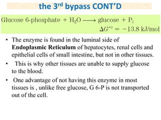 • The enzyme is found in the luminal side of
Endoplasmic Reticulum of hepatocytes, renal cells and
epithelial cells of small intestine, but not in other tissues.
• This is why other tissues are unable to supply glucose
to the blood.
• One advantage of not having this enzyme in most
tissues is , unlike free glucose, G 6-P is not transported
out of the cell.
the 3rd bypass CONT’D
 