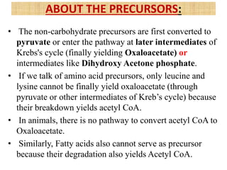 • The non-carbohydrate precursors are first converted to
pyruvate or enter the pathway at later intermediates of
Krebs's cycle (finally yielding Oxaloacetate) or
intermediates like Dihydroxy Acetone phosphate.
• If we talk of amino acid precursors, only leucine and
lysine cannot be finally yield oxaloacetate (through
pyruvate or other intermediates of Kreb’s cycle) because
their breakdown yields acetyl CoA.
• In animals, there is no pathway to convert acetyl CoA to
Oxaloacetate.
• Similarly, Fatty acids also cannot serve as precursor
because their degradation also yields Acetyl CoA.
ABOUT THE PRECURSORS:
 