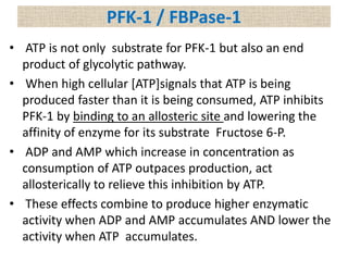 PFK-1 / FBPase-1
• ATP is not only substrate for PFK-1 but also an end
product of glycolytic pathway.
• When high cellular [ATP]signals that ATP is being
produced faster than it is being consumed, ATP inhibits
PFK-1 by binding to an allosteric site and lowering the
affinity of enzyme for its substrate Fructose 6-P.
• ADP and AMP which increase in concentration as
consumption of ATP outpaces production, act
allosterically to relieve this inhibition by ATP.
• These effects combine to produce higher enzymatic
activity when ADP and AMP accumulates AND lower the
activity when ATP accumulates.
 