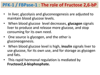 • In liver, glycolysis and gluconeogenesis are adjusted to
maintain blood glucose levels.
• When blood glucose level decreases, glucagon signals
liver to produce and release more glucose, and stop
consuming for its own need.
• One source is glycogen, and the other is
gluconeogenesis.
• When blood glucose level is high, insulin signals liver to
use glucose, for its own use, and for storage as glycogen
and fats.
• This rapid hormonal regulation is mediated by
Fructose2,6-bisphosphate.
PFK-1 / FBPase-1 : The role of Fructose 2,6-bP
 