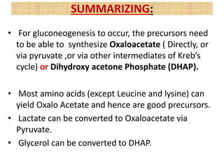 • For gluconeogenesis to occur, the precursors need
to be able to synthesize Oxaloacetate ( Directly, or
via pyruvate ,or via other intermediates of Kreb’s
cycle) or Dihydroxy acetone Phosphate (DHAP).
• Most amino acids (except Leucine and lysine) can
yield Oxalo Acetate and hence are good precursors.
• Lactate can be converted to Oxaloacetate via
Pyruvate.
• Glycerol can be converted to DHAP.
SUMMARIZING:
 