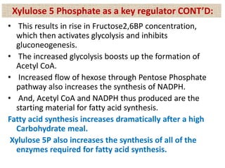 • This results in rise in Fructose2,6BP concentration,
which then activates glycolysis and inhibits
gluconeogenesis.
• The increased glycolysis boosts up the formation of
Acetyl CoA.
• Increased flow of hexose through Pentose Phosphate
pathway also increases the synthesis of NADPH.
• And, Acetyl CoA and NADPH thus produced are the
starting material for fatty acid synthesis.
Fatty acid synthesis increases dramatically after a high
Carbohydrate meal.
Xylulose 5P also increases the synthesis of all of the
enzymes required for fatty acid synthesis.
Xylulose 5 Phosphate as a key regulator CONT’D:
 