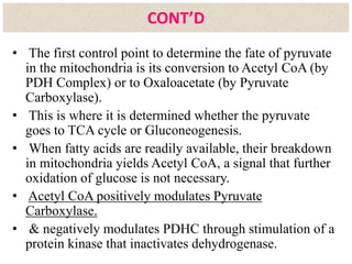 • The first control point to determine the fate of pyruvate
in the mitochondria is its conversion to Acetyl CoA (by
PDH Complex) or to Oxaloacetate (by Pyruvate
Carboxylase).
• This is where it is determined whether the pyruvate
goes to TCA cycle or Gluconeogenesis.
• When fatty acids are readily available, their breakdown
in mitochondria yields Acetyl CoA, a signal that further
oxidation of glucose is not necessary.
• Acetyl CoA positively modulates Pyruvate
Carboxylase.
• & negatively modulates PDHC through stimulation of a
protein kinase that inactivates dehydrogenase.
CONT’D
 