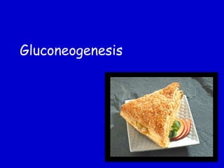 Gluconeogenesis
 