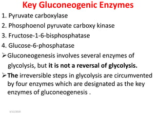 Key Gluconeogenic Enzymes
1. Pyruvate carboxylase
2. Phosphoenol pyruvate carboxy kinase
3. Fructose-1-6-bisphosphatase
4. Glucose-6-phosphatase
Gluconeogenesis involves several enzymes of
glycolysis, but it is not a reversal of glycolysis.
The irreversible steps in glycolysis are circumvented
by four enzymes which are designated as the key
enzymes of gluconeogenesis .
3/12/2020
 