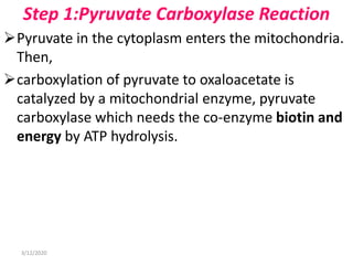 Step 1:Pyruvate Carboxylase Reaction
Pyruvate in the cytoplasm enters the mitochondria.
Then,
carboxylation of pyruvate to oxaloacetate is
catalyzed by a mitochondrial enzyme, pyruvate
carboxylase which needs the co-enzyme biotin and
energy by ATP hydrolysis.
3/12/2020
 