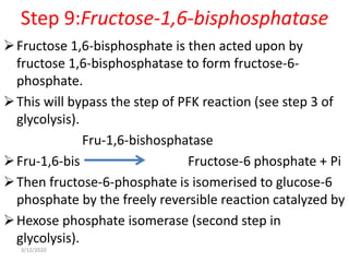 Step 9:Fructose-1,6-bisphosphatase
Fructose 1,6-bisphosphate is then acted upon by
fructose 1,6-bisphosphatase to form fructose-6-
phosphate.
This will bypass the step of PFK reaction (see step 3 of
glycolysis).
Fru-1,6-bishosphatase
Fru-1,6-bis Fructose-6 phosphate + Pi
Then fructose-6-phosphate is isomerised to glucose-6
phosphate by the freely reversible reaction catalyzed by
Hexose phosphate isomerase (second step in
glycolysis).
3/12/2020
 