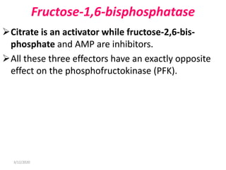 Fructose-1,6-bisphosphatase
Citrate is an activator while fructose-2,6-bis-
phosphate and AMP are inhibitors.
All these three effectors have an exactly opposite
effect on the phosphofructokinase (PFK).
3/12/2020
 
