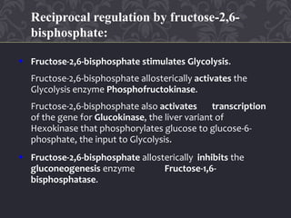  Fructose-2,6-bisphosphate stimulates Glycolysis.
Fructose-2,6-bisphosphate allosterically activates the
Glycolysis enzyme Phosphofructokinase.
Fructose-2,6-bisphosphate also activates transcription
of the gene for Glucokinase, the liver variant of
Hexokinase that phosphorylates glucose to glucose-6-
phosphate, the input to Glycolysis.
 Fructose-2,6-bisphosphate allosterically inhibits the
gluconeogenesis enzyme Fructose-1,6-
bisphosphatase.
Reciprocal regulation by fructose-2,6-
bisphosphate:
 