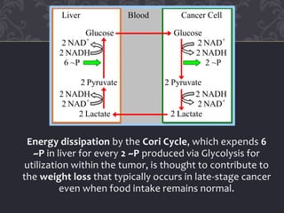 Energy dissipation by the Cori Cycle, which expends 6
~P in liver for every 2 ~P produced via Glycolysis for
utilization within the tumor, is thought to contribute to
the weight loss that typically occurs in late-stage cancer
even when food intake remains normal.
Liver Blood Cancer Cell
Glucose Glucose
2 NAD+
2 NAD+
2 NADH 2 NADH
6 ~P 2 ~P
2 Pyruvate 2 Pyruvate
2 NADH 2 NADH
2 NAD+
2 NAD+
2 Lactate 2 Lactate
 