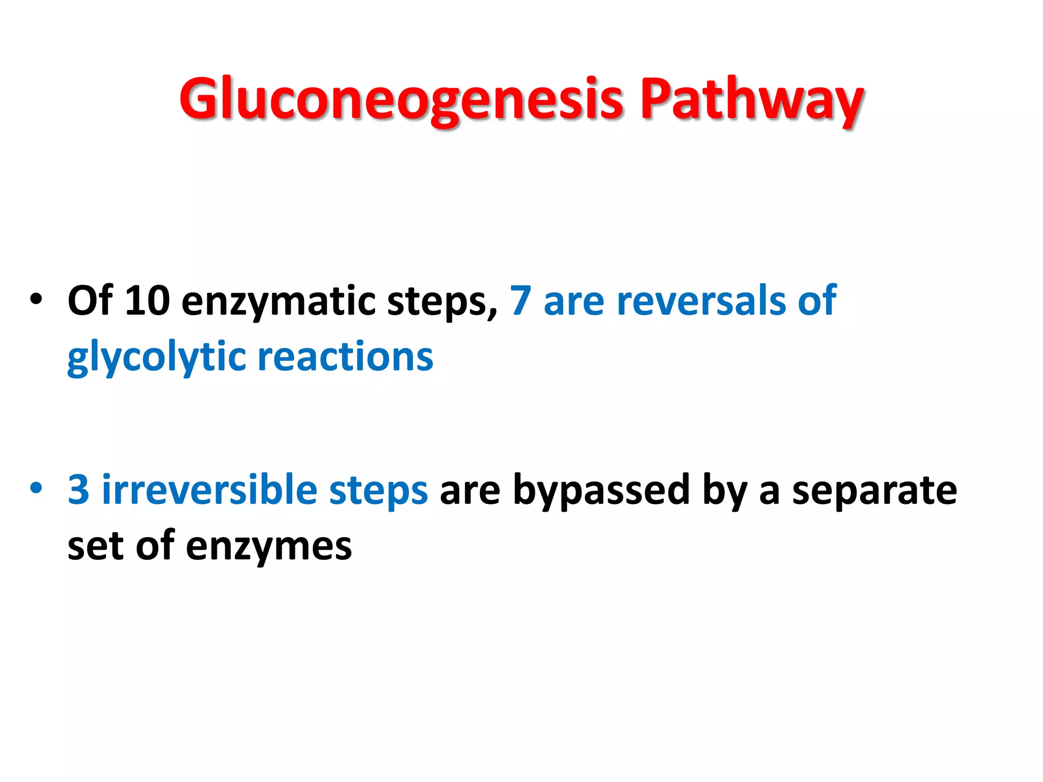 Gluconeogenesis Ppt