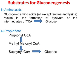 Substrates for Gluconeogenesis
3) Amino acids
Glucogenic amino acids (all except leucine and lysine)
results in the formation of pyruvate or the
intermediates of TCA Glucose
4) Propionate
Propionyl CoA
Methyl Malonyl CoA
Succynyl CoA Glucose
 