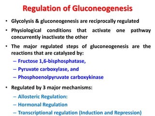 Regulation of Gluconeogenesis
• Glycolysis & gluconeogenesis are reciprocally regulated
• Physiological conditions that activate one pathway
concurrently inactivate the other
• The major regulated steps of gluconeogenesis are the
reactions that are catalyzed by:
– Fructose 1,6-bisphosphatase,
– Pyruvate carboxylase, and
– Phosphoenolpyruvate carboxykinase
• Regulated by 3 major mechanisms:
– Allosteric Regulation:
– Hormonal Regulation
– Transcriptional regulation (Induction and Repression)
 