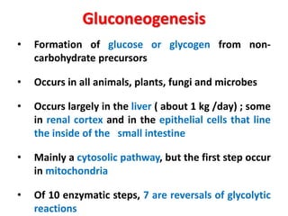 Gluconeogenesis
• Formation of glucose or glycogen from non-
carbohydrate precursors
• Occurs in all animals, plants, fungi and microbes
• Occurs largely in the liver ( about 1 kg /day) ; some
in renal cortex and in the epithelial cells that line
the inside of the small intestine
• Mainly a cytosolic pathway, but the first step occur
in mitochondria
• Of 10 enzymatic steps, 7 are reversals of glycolytic
reactions
 