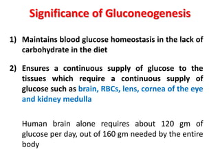 Significance of Gluconeogenesis
1) Maintains blood glucose homeostasis in the lack of
carbohydrate in the diet
2) Ensures a continuous supply of glucose to the
tissues which require a continuous supply of
glucose such as brain, RBCs, lens, cornea of the eye
and kidney medulla
Human brain alone requires about 120 gm of
glucose per day, out of 160 gm needed by the entire
body
 
