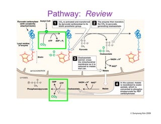 Pathway: Review
© Sunyoung Kim 2008
 