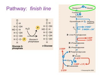 Pathway: finish line
© Sunyoung Kim 2008
 