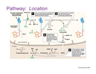 Pathway: Location
© Sunyoung Kim 2008
 