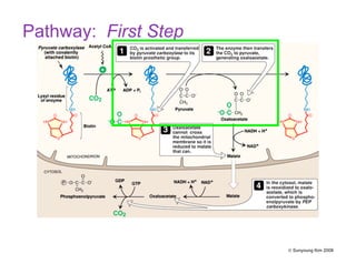 Pathway: First Step
© Sunyoung Kim 2008
 