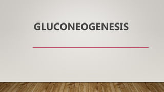 GLUCONEOGENESIS
 