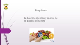 La Gluconeogénesis y control de
la glucosa en sangre
Bioquímica
 