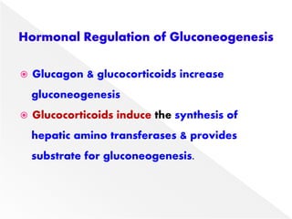 Gluconeogenesis.pdf
