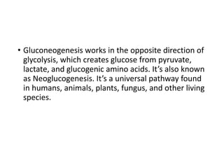 • Gluconeogenesis works in the opposite direction of
glycolysis, which creates glucose from pyruvate,
lactate, and glucogenic amino acids. It’s also known
as Neoglucogenesis. It’s a universal pathway found
in humans, animals, plants, fungus, and other living
species.
 