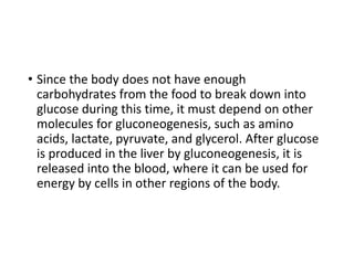 • Since the body does not have enough
carbohydrates from the food to break down into
glucose during this time, it must depend on other
molecules for gluconeogenesis, such as amino
acids, lactate, pyruvate, and glycerol. After glucose
is produced in the liver by gluconeogenesis, it is
released into the blood, where it can be used for
energy by cells in other regions of the body.
 