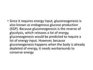 • Since it requires energy input, gluconeogenesis is
also known as endogenous glucose production
(EGP). Because gluconeogenesis is the reverse of
glycolysis, which releases a lot of energy,
gluconeogenesis would be predicted to require a
lot of energy input. However, because
gluconeogenesis happens when the body is already
depleted of energy, it needs workarounds to
conserve energy
 