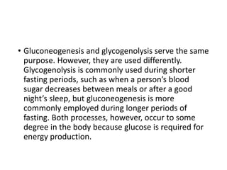 • Gluconeogenesis and glycogenolysis serve the same
purpose. However, they are used differently.
Glycogenolysis is commonly used during shorter
fasting periods, such as when a person’s blood
sugar decreases between meals or after a good
night’s sleep, but gluconeogenesis is more
commonly employed during longer periods of
fasting. Both processes, however, occur to some
degree in the body because glucose is required for
energy production.
 