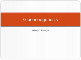 Joseph kungu
Gluconeogenesis
 