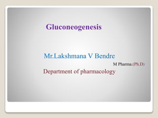 Mr.Lakshmana V Bendre
M Pharma.(Ph.D)
Department of pharmacology
Gluconeogenesis
 