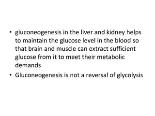 • gluconeogenesis in the liver and kidney helps
to maintain the glucose level in the blood so
that brain and muscle can extract sufficient
glucose from it to meet their metabolic
demands
• Gluconeogenesis is not a reversal of glycolysis
 