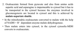 Gluconeogenesis Pathway and various sources of gluconeogenesis | PDF