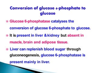  Glucose 6-phosphatase catalyses the
conversion of glucose 6-phosphate to glucose.
 It is present in liver &kidney but absent in
muscle, brain and adipose tissue.
 Liver can replenish blood sugar through
gluconeogenesis, glucose 6-phosphatase is
present mainly in liver.
 