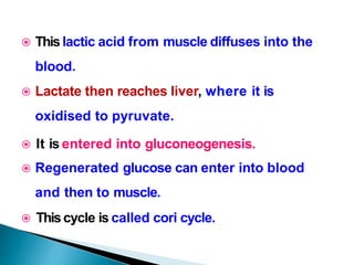  Thislactic acid from muscle diffuses into the
blood.
 Lactate then reaches liver, where it is
oxidised to pyruvate.
 It is entered into gluconeogenesis.
 Regenerated glucose can enter into blood
and then to muscle.
 Thiscycle is called cori cycle.
 