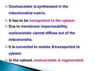  Oxaloacetate is synthesized in the
mitochondrial matrix.
 It has to be transported to the cytosol.
 Due to membrane impermeability,
oxaloacetate cannot diffuse out of the
mitochondria.
 It is converted to malate &transported to
cytosol.
 In the cytosol, oxaloacetate is regenerated.
 